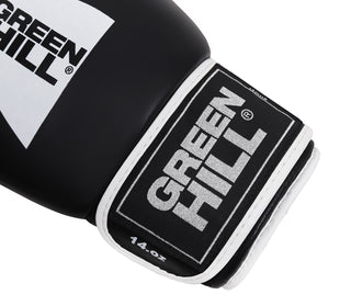 Boxing Gloves GYM