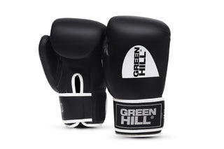 Boxing Gloves GYM