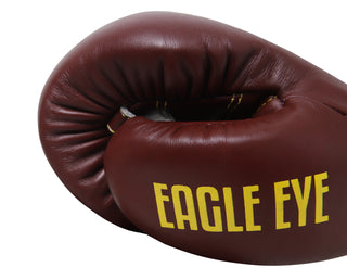 Boxing Gloves Eagle Eye