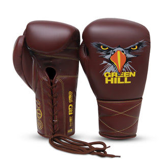 Boxing Gloves Eagle Eye