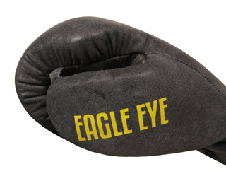 Boxing Gloves Eagle Eye