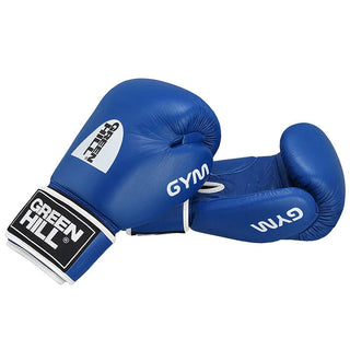 Boxing Gloves GYM