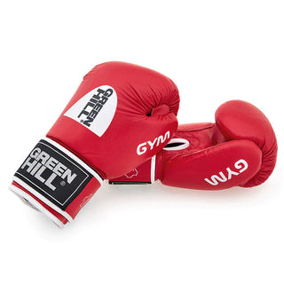 Boxing Gloves GYM