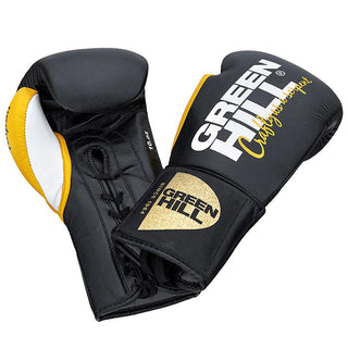 Boxing Gloves TAIPAN