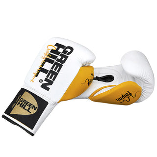 Boxing Gloves TAIPAN