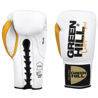 Boxing Gloves TAIPAN